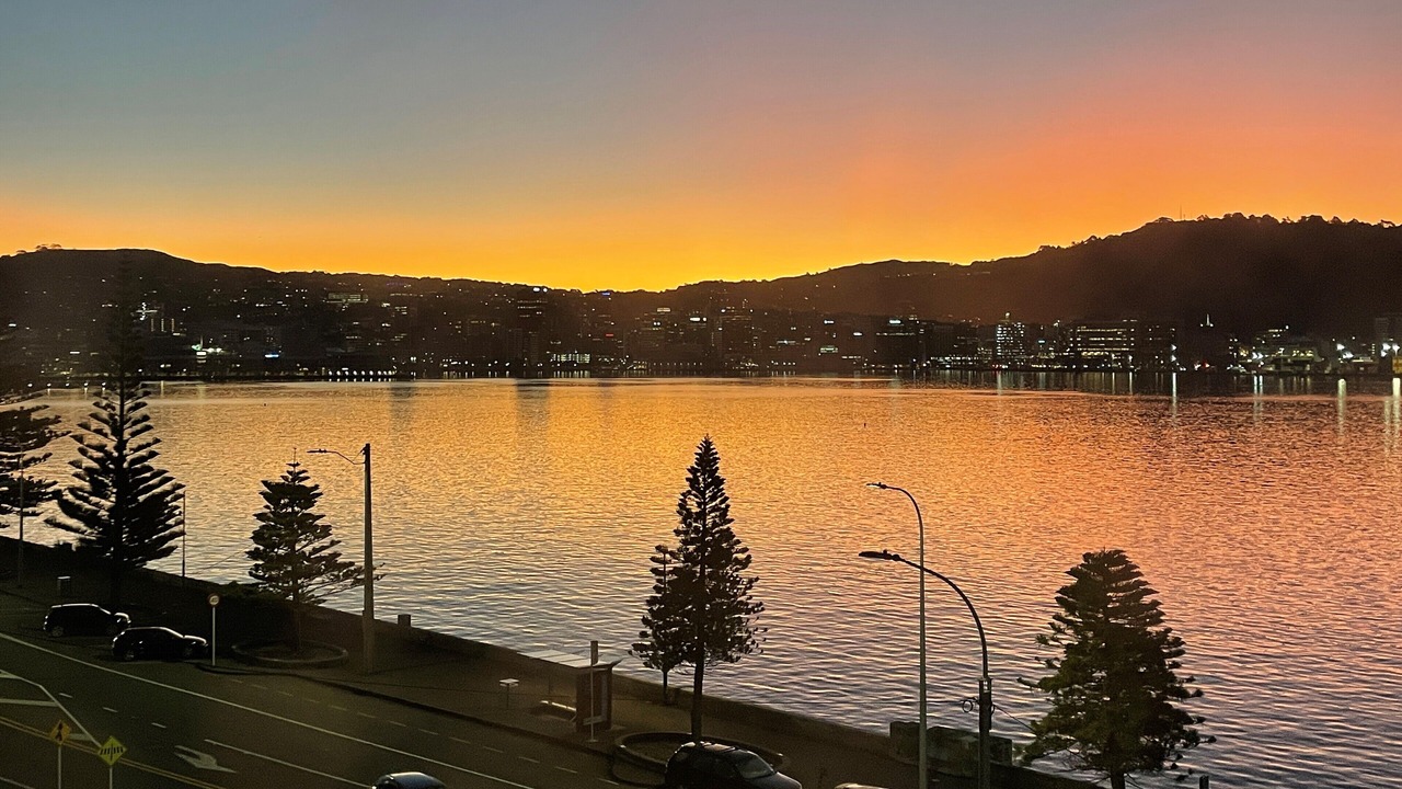Photo of Outdoor in Oriental Bay