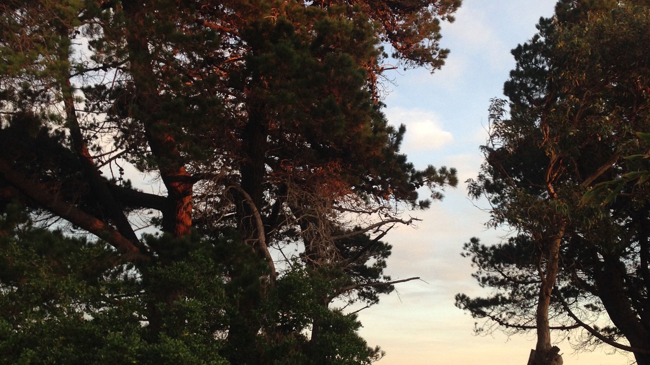 Photo of Outdoor in Bicheno