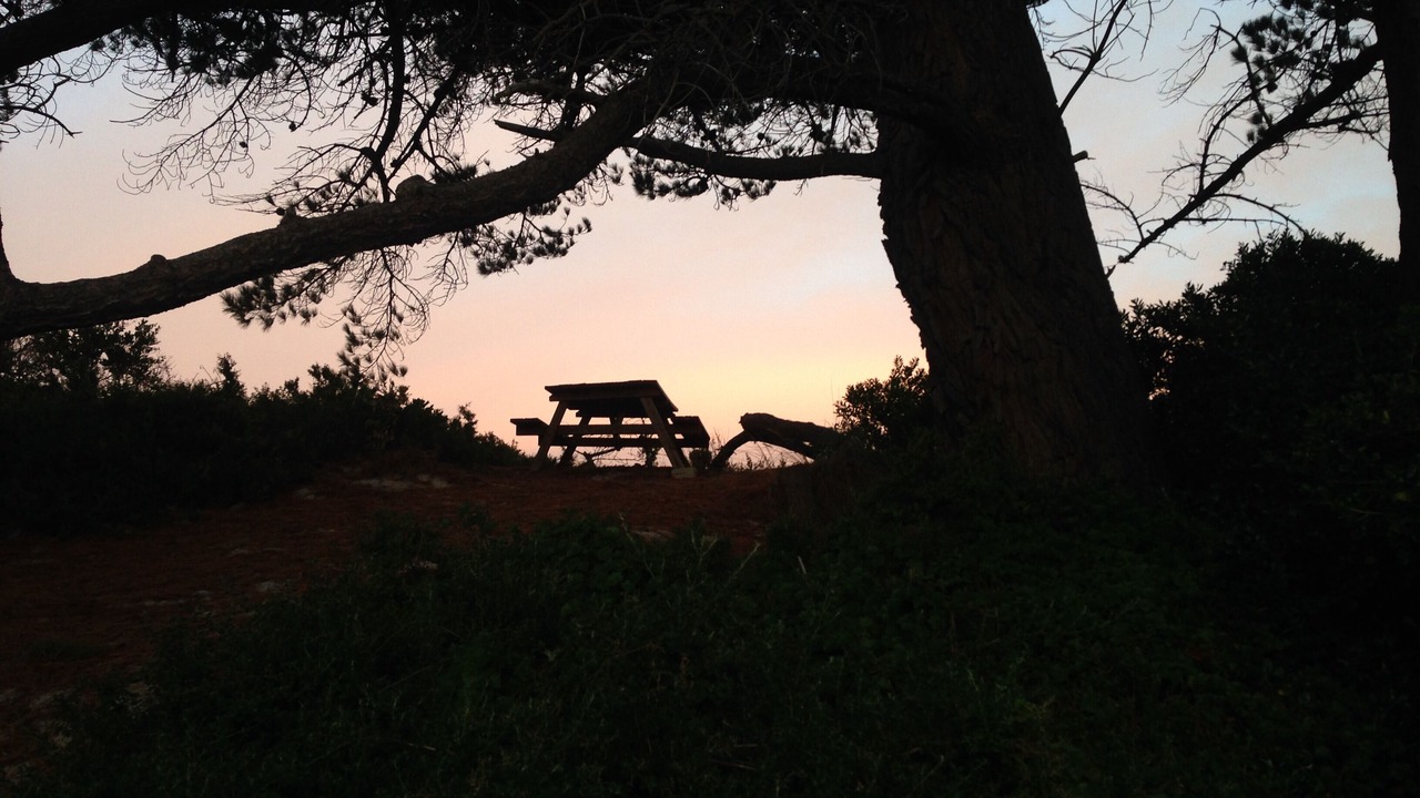 Photo of Outdoor in Bicheno