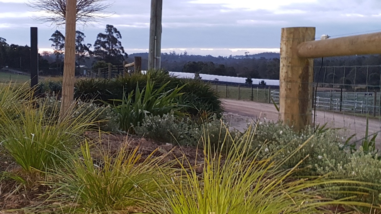 Photo of Outdoor in Lebrina