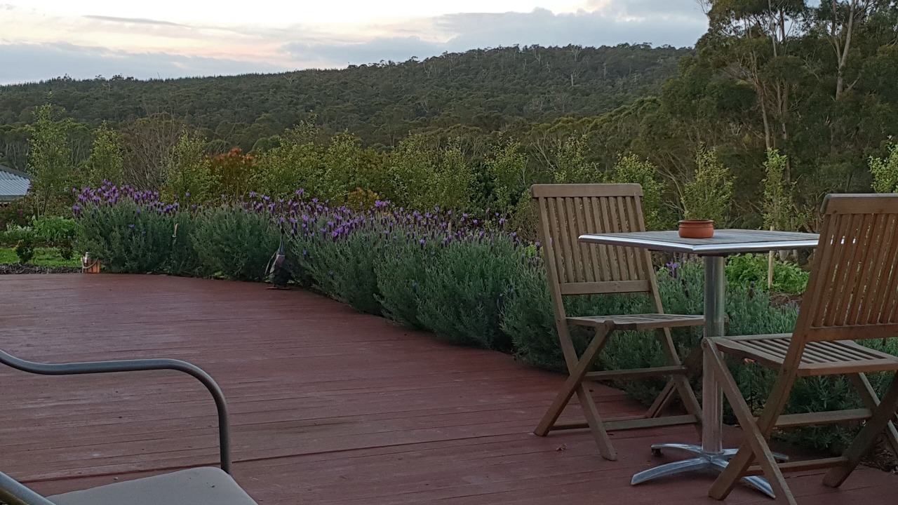 Photo of Outdoor in Lebrina