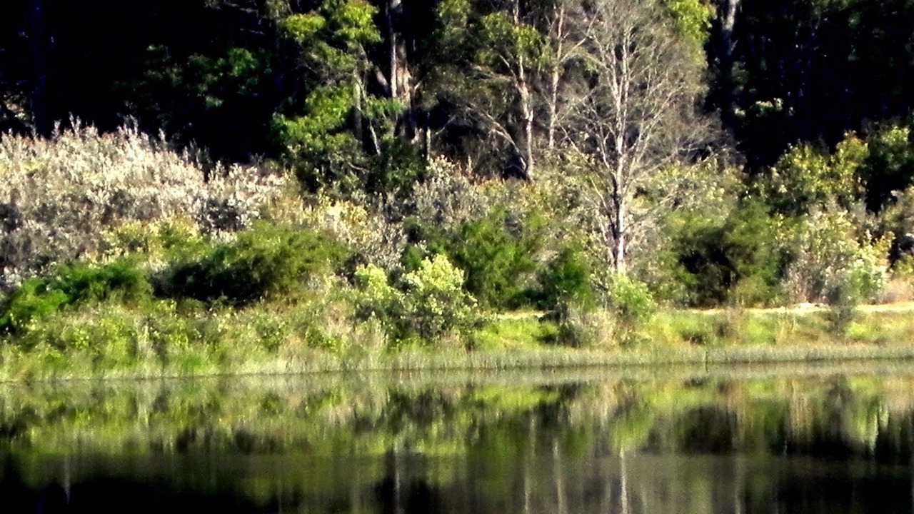 Photo of Outdoor in Lebrina