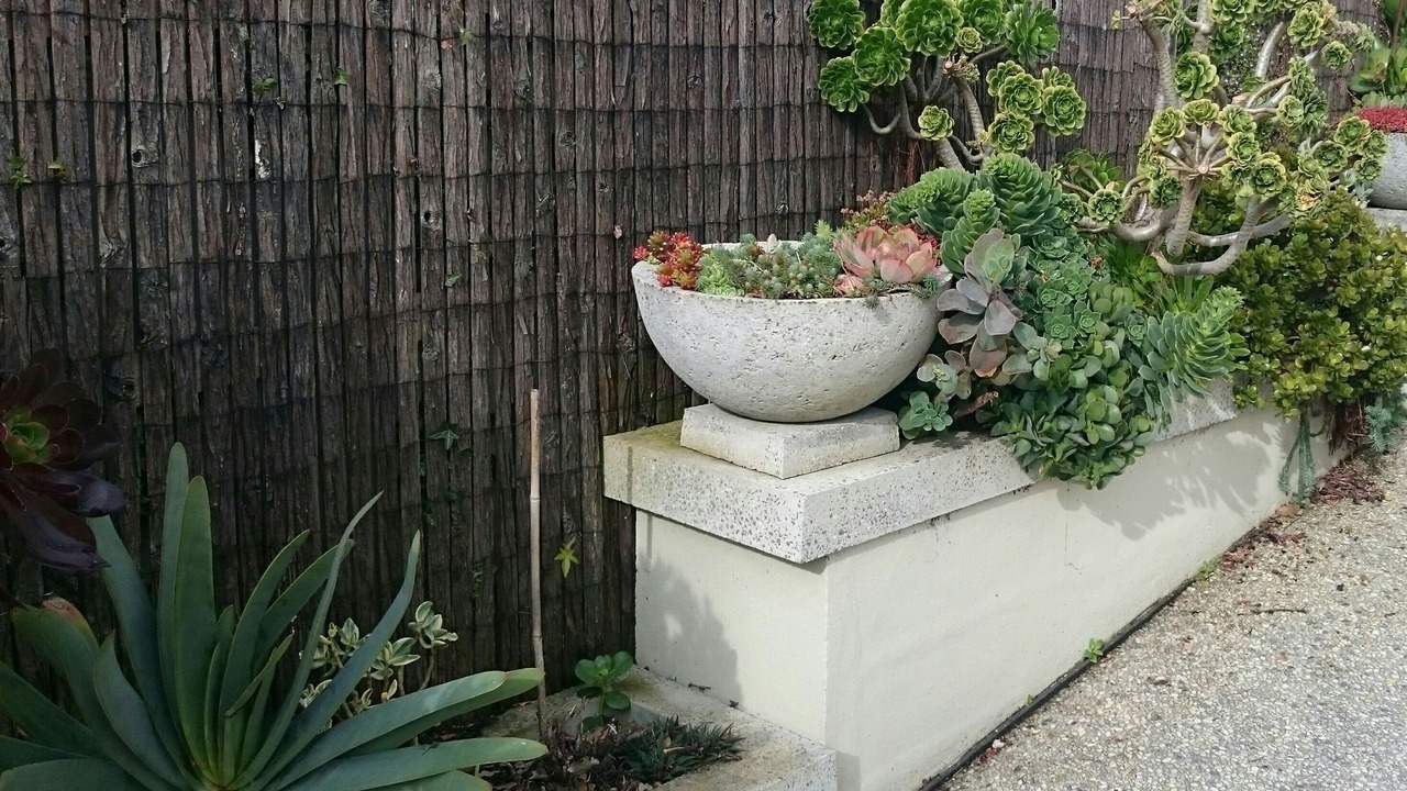 Photo of Others in West Launceston
