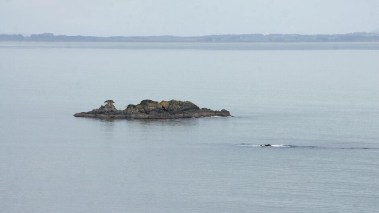 Photo of Others in Coopers Beach