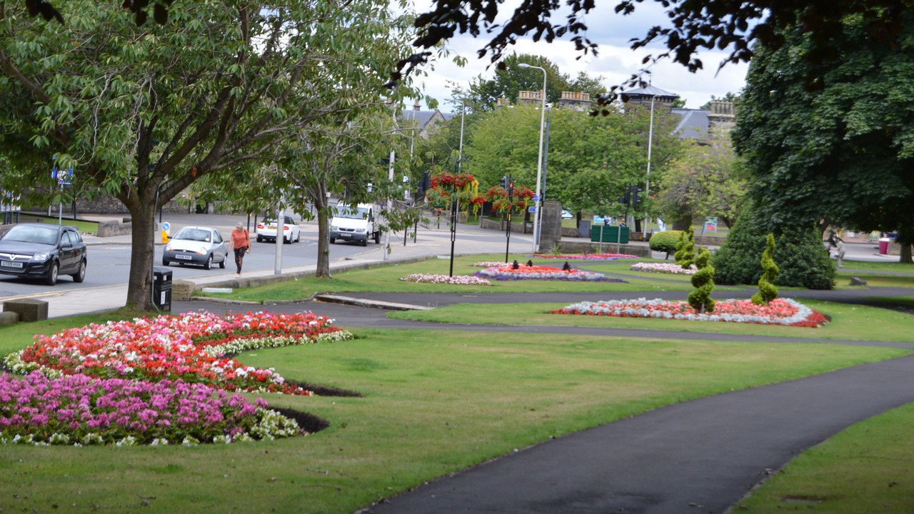 Photo of Others in Kirkcaldy