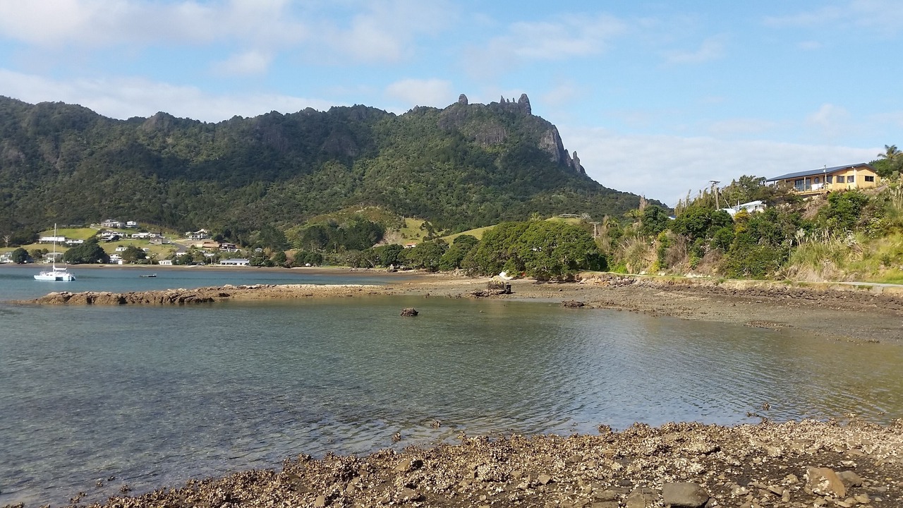 Photo of Others in Whangarei Heads