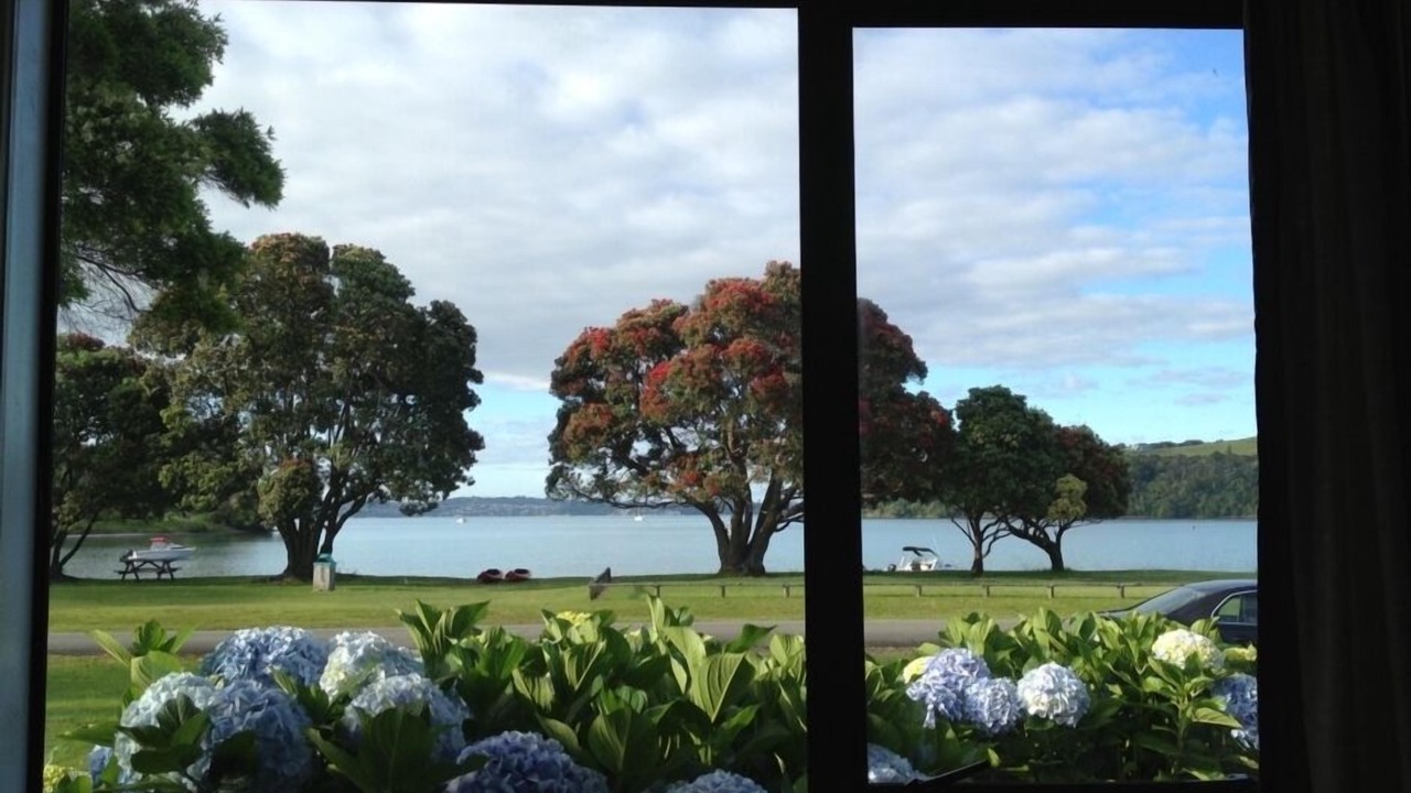 Photo of Others in Tawharanui