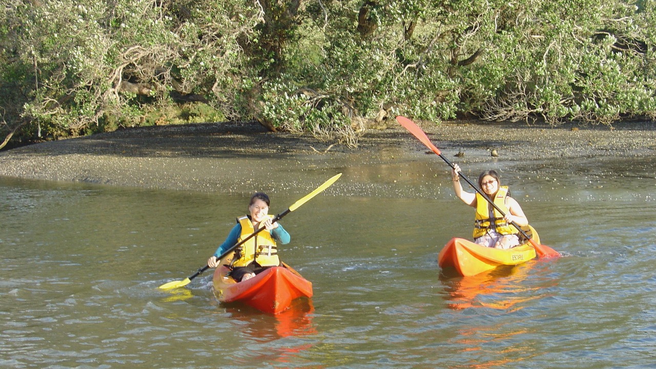 Photo of Others in Tawharanui