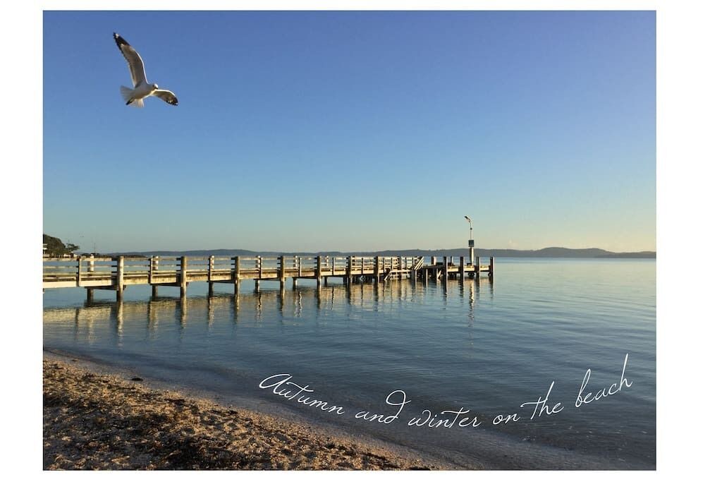 Photo of Others in Beachlands