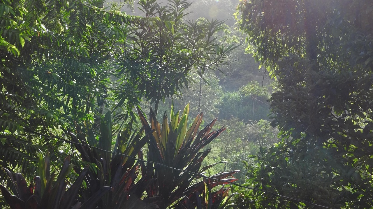 Photo of Outdoor in Chachagua