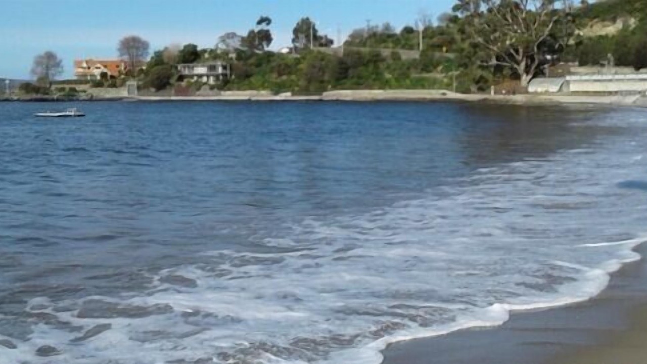 Photo of Others in Sandy Bay