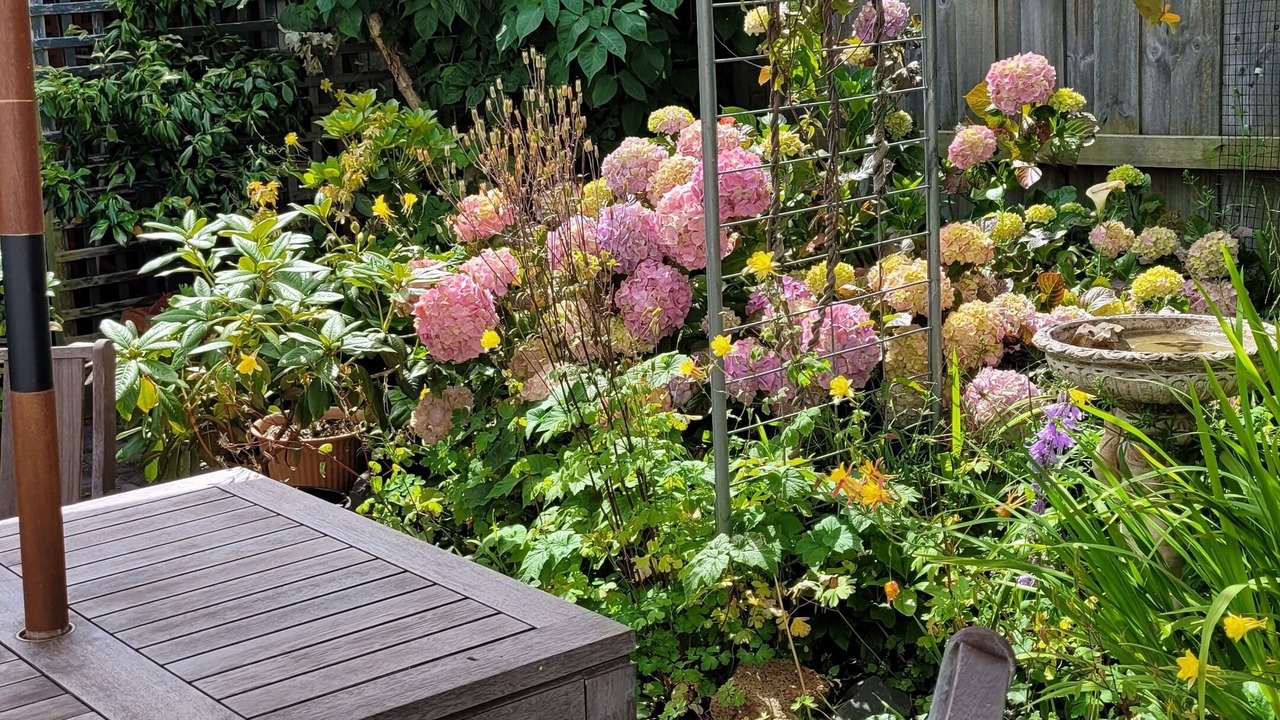 Photo of Outdoor in Sandy Bay
