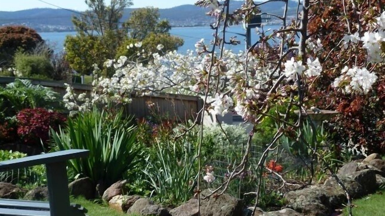Photo of Outdoor in Sandy Bay