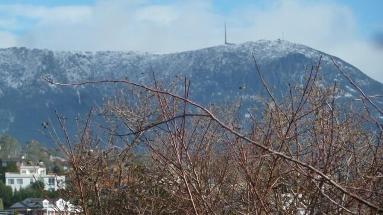 Photo of Others in Sandy Bay