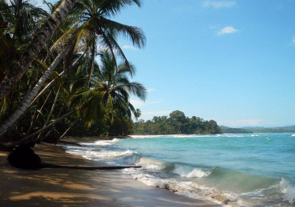 Photo of Others in Puerto Viejo de Talamanca