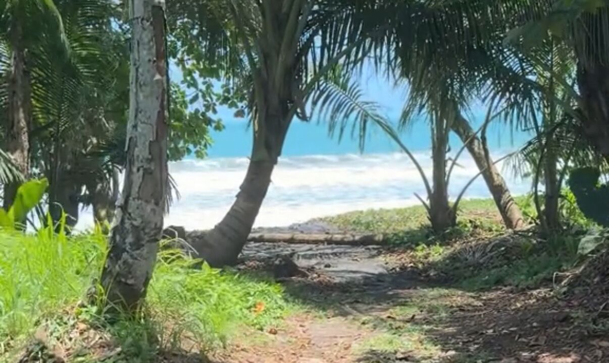 Photo of Others in Puerto Viejo de Talamanca