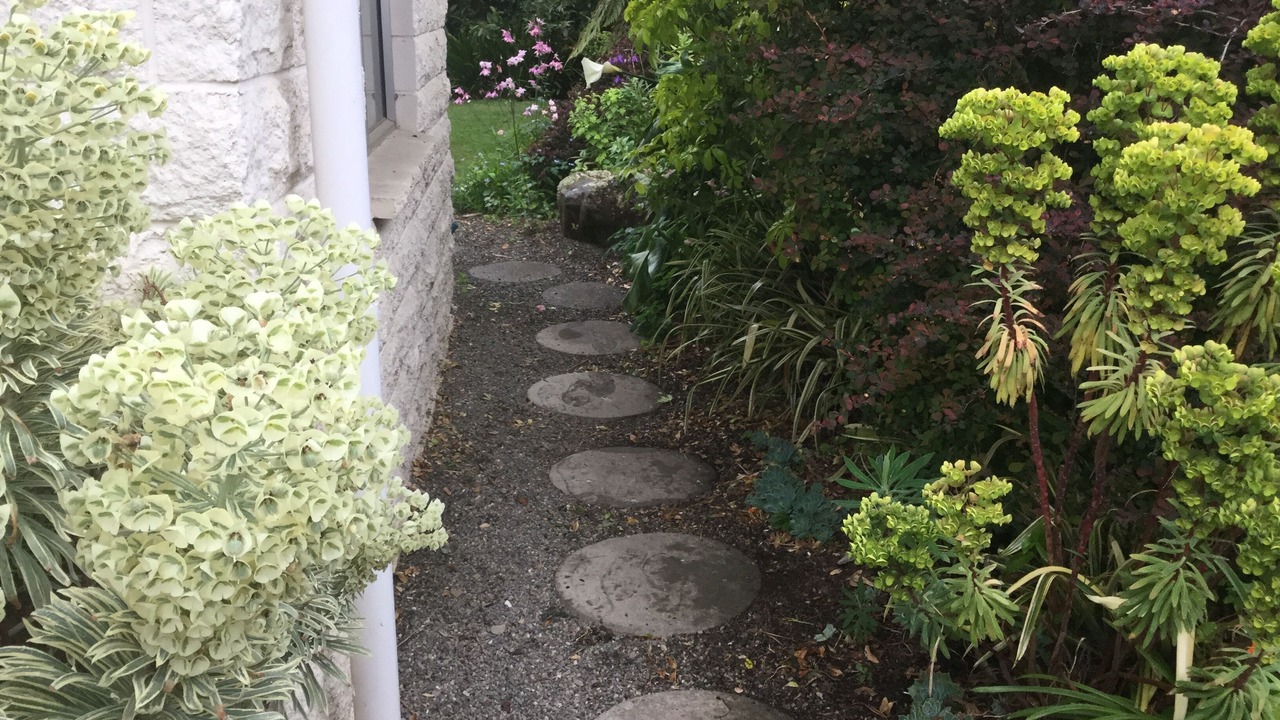 Photo of Outdoor in Nelson