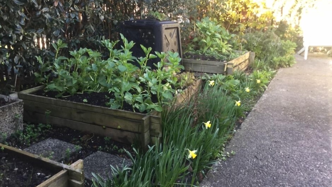 Photo of Outdoor in Nelson