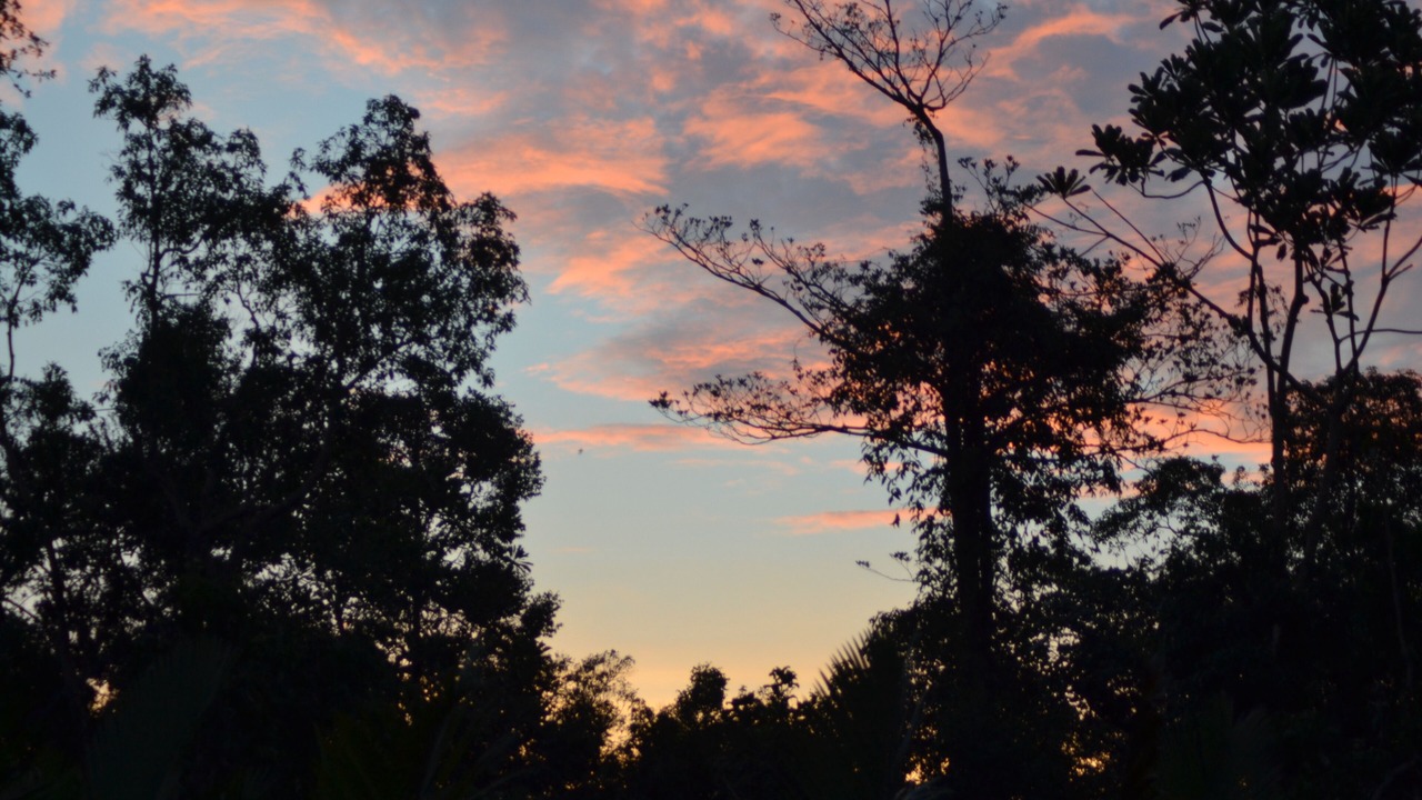 Photo of Outdoor in Kumai