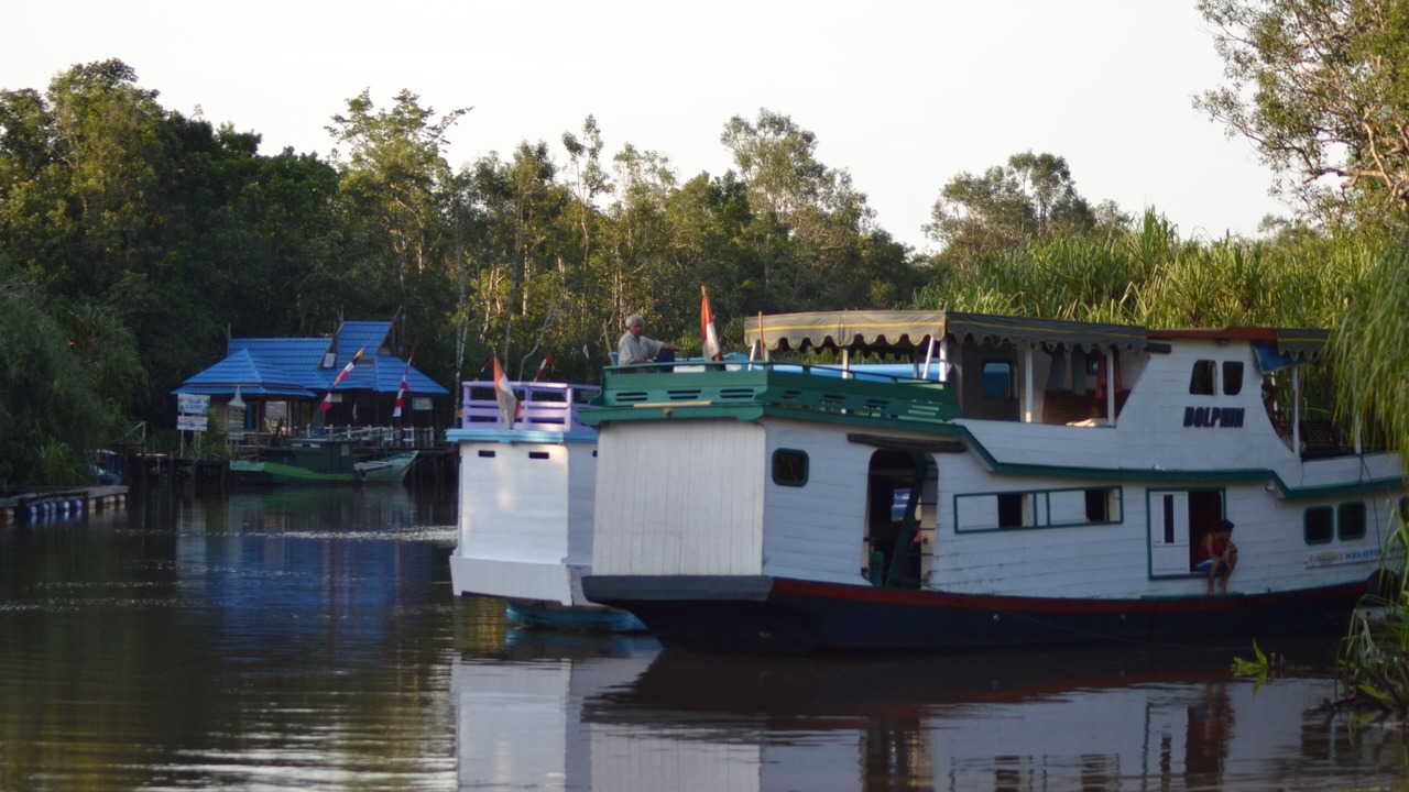 Photo of Outdoor in Kumai