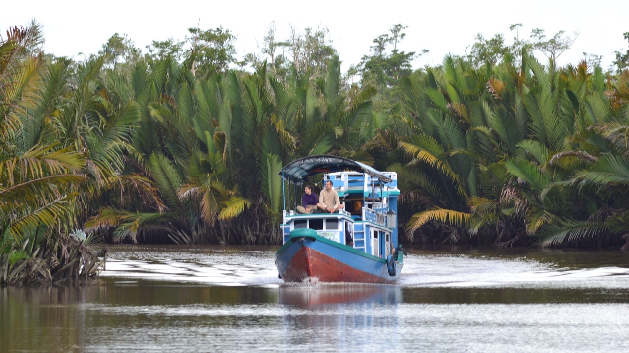 Photo of Outdoor in Kumai