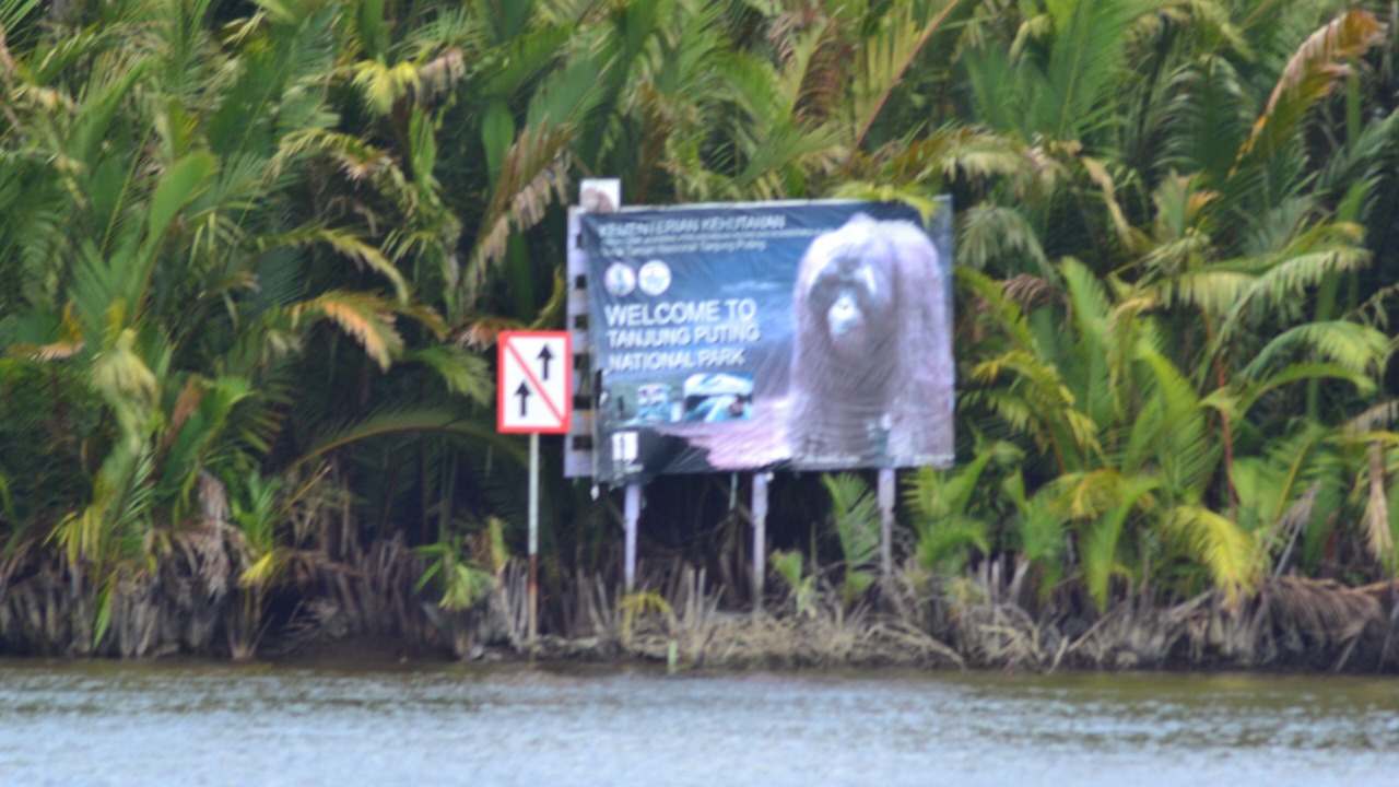 Photo of Outdoor in Kumai