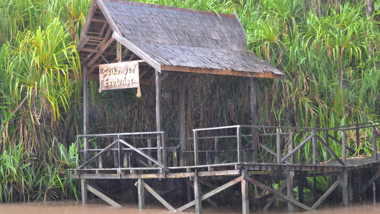 Photo of Others in Kumai