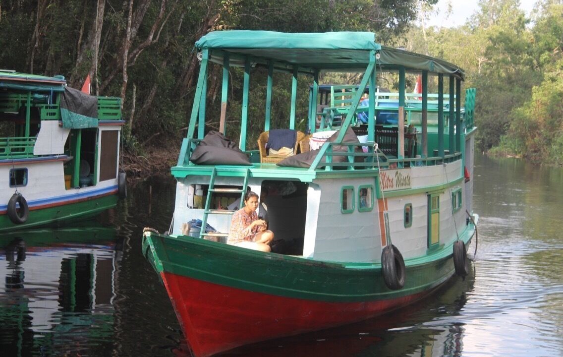 Photo of Outdoor in Kumai