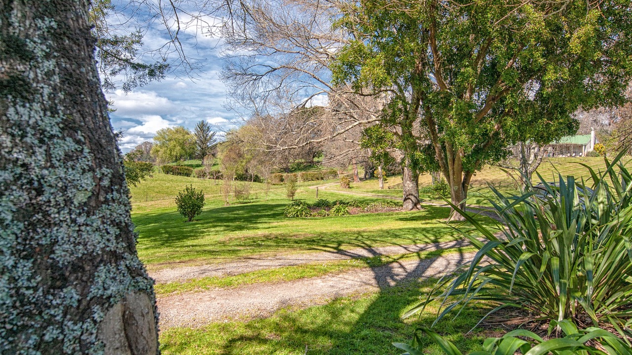 Photo of Outdoor in Frasertown