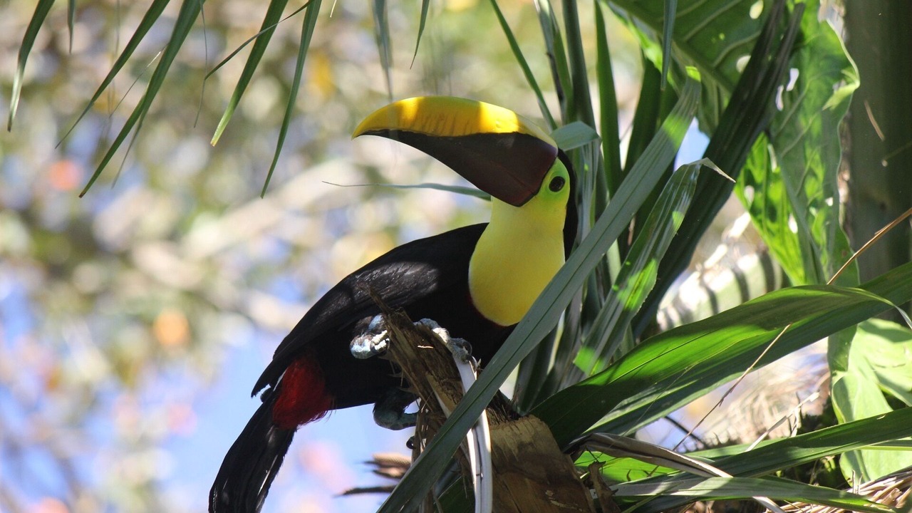 Photo of Outdoor in Parrita
