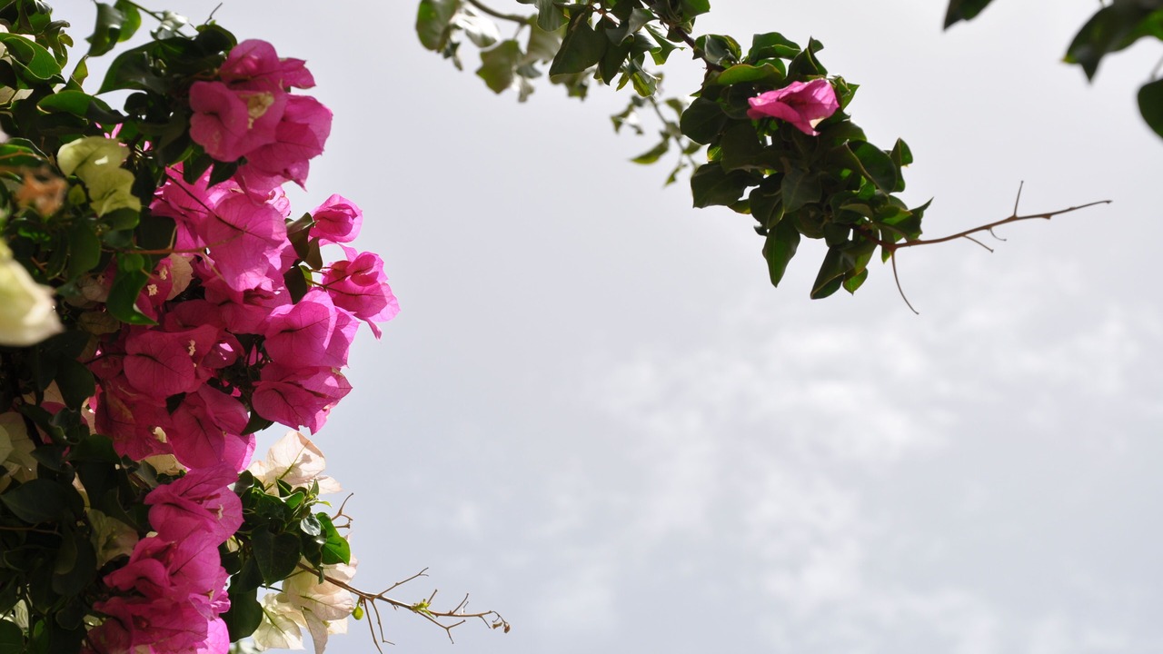 Photo of Others in Glinado