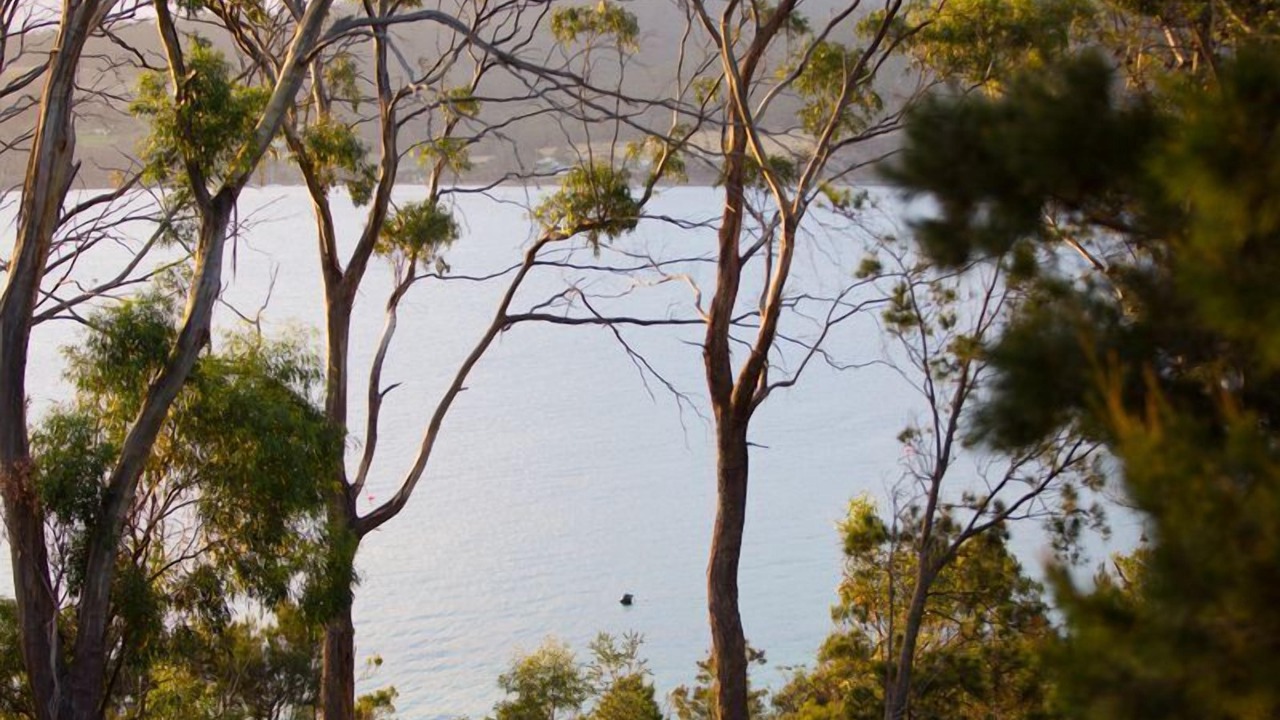 Photo of Outdoor in Dennes Point