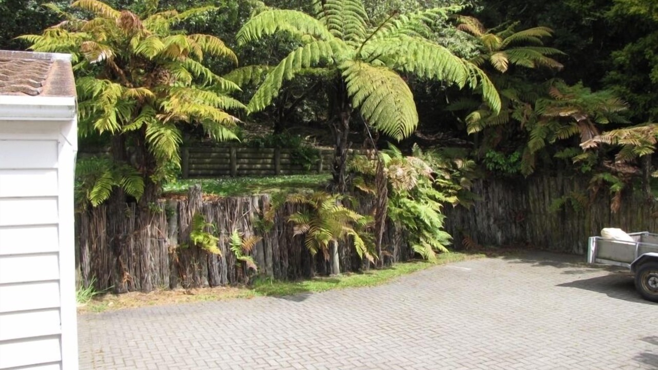 Photo of Others in Lake Tarawera