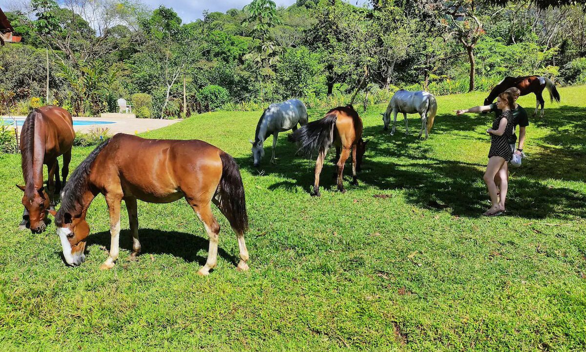 Photo of Others in Parrita