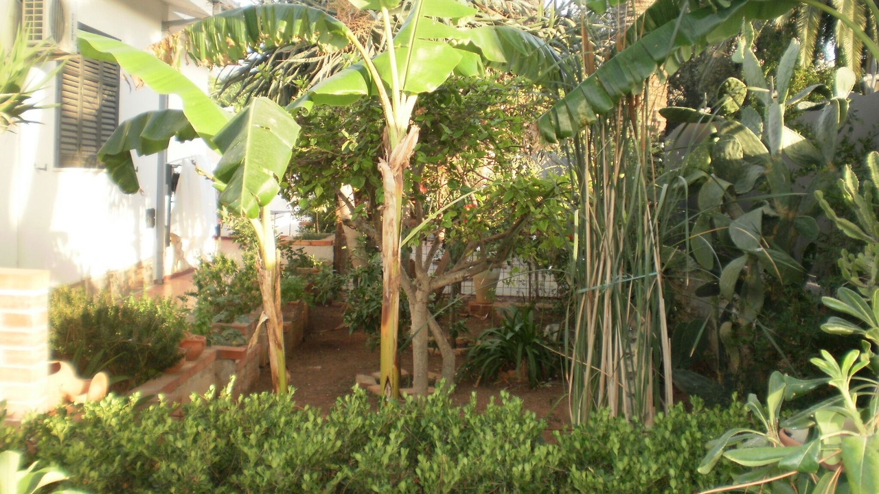 Photo of Outdoor in Partanna