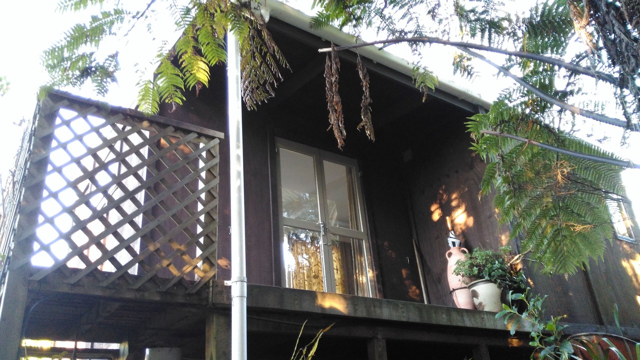Photo of Outdoor in Paengaroa
