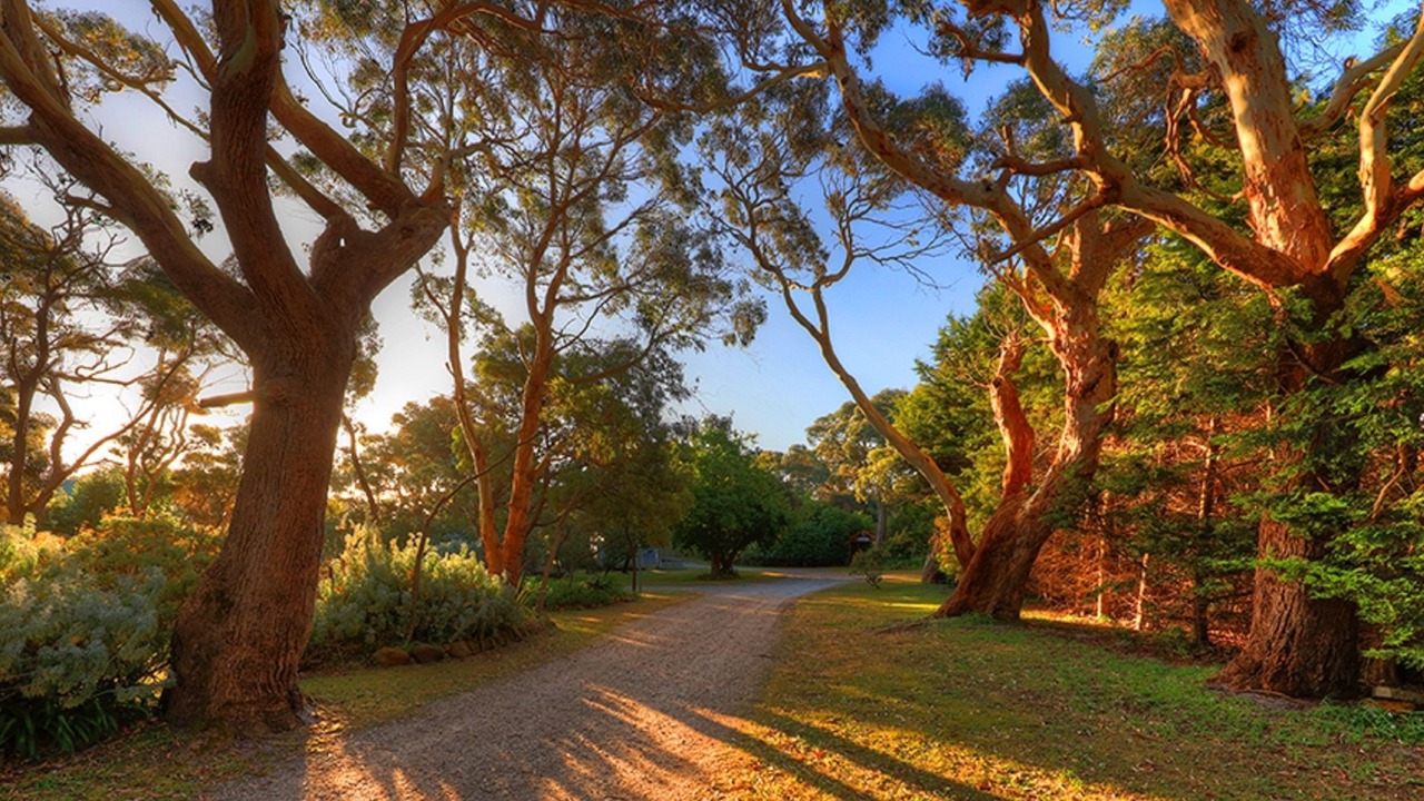 Photo of Outdoor in Stanley