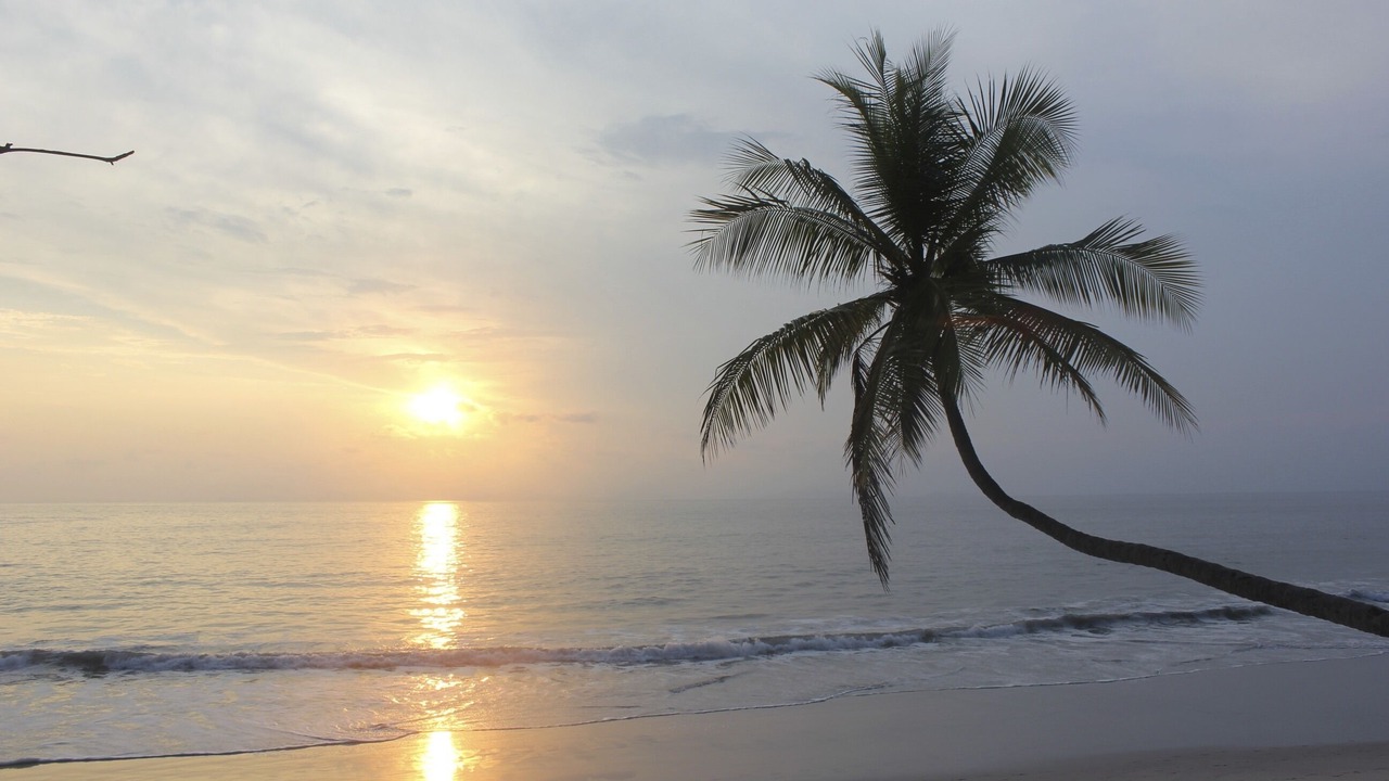 Photo of Others in Punta Leona