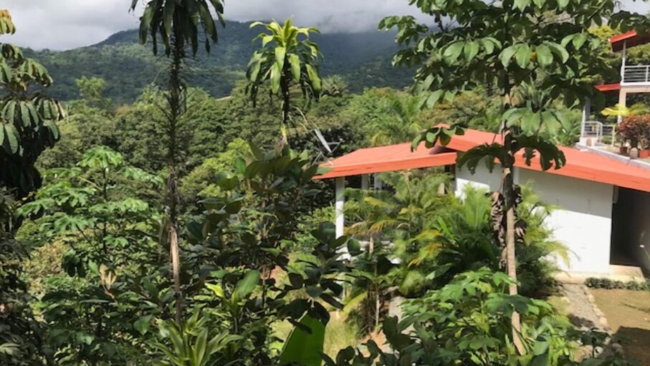 Photo of Outdoor in Uvita