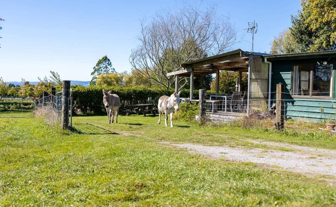 Photo of Outdoor in Hamurana