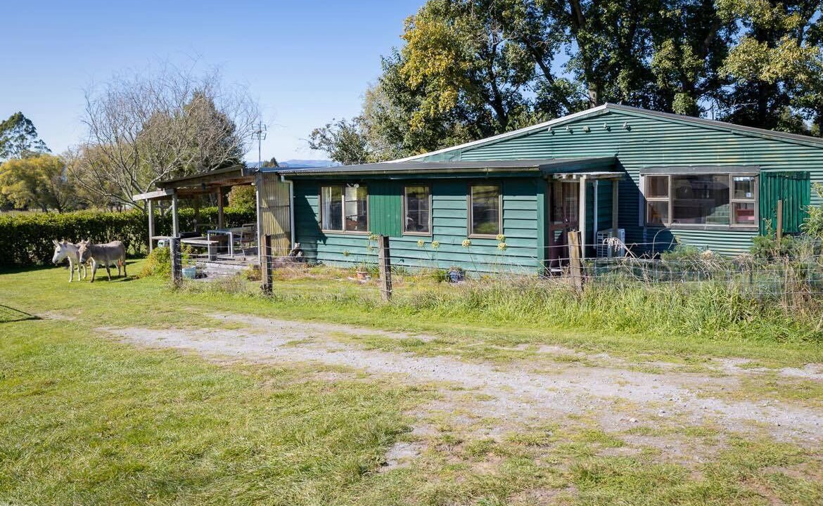 Photo of Outdoor in Hamurana