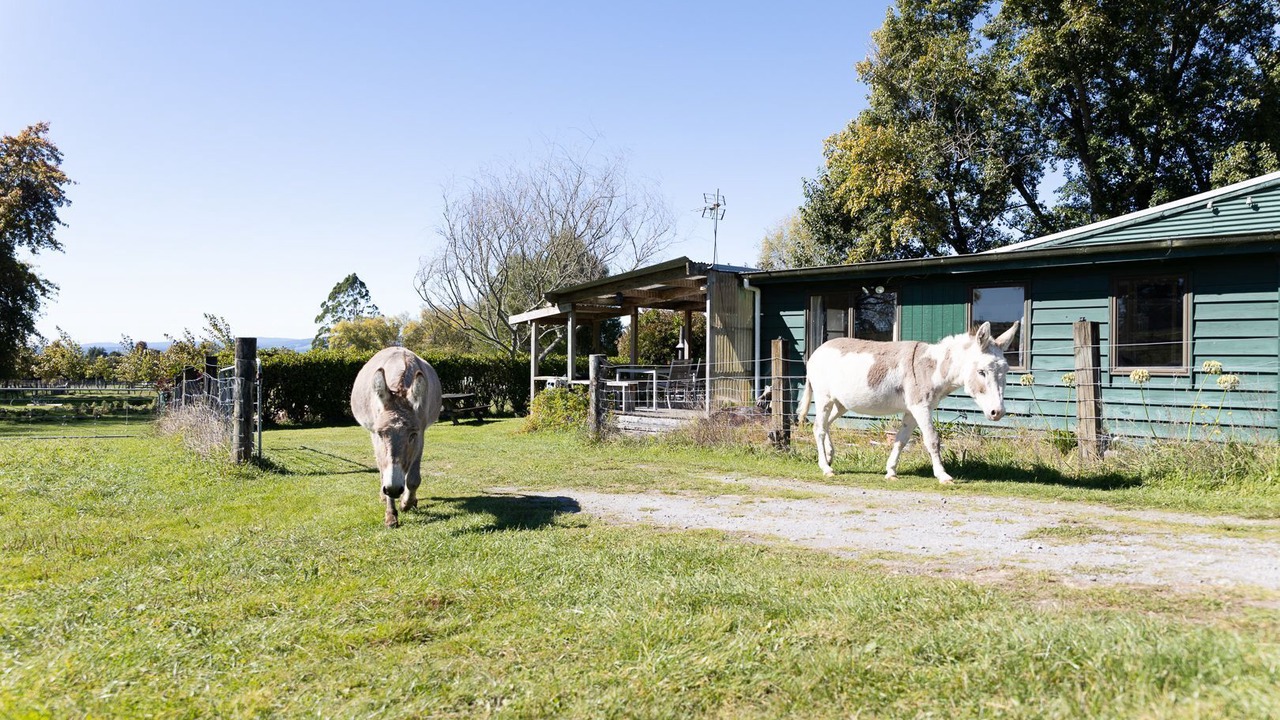 Photo of Outdoor in Hamurana