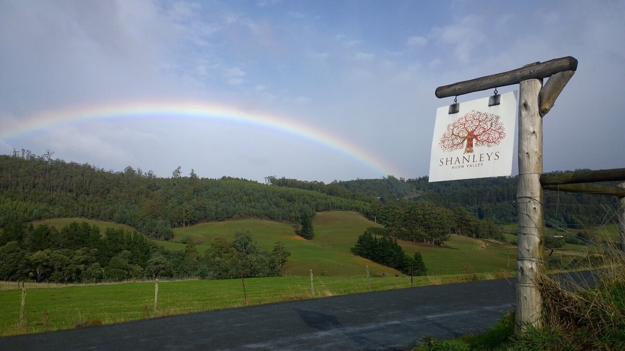 Photo of Outdoor in Glendevie