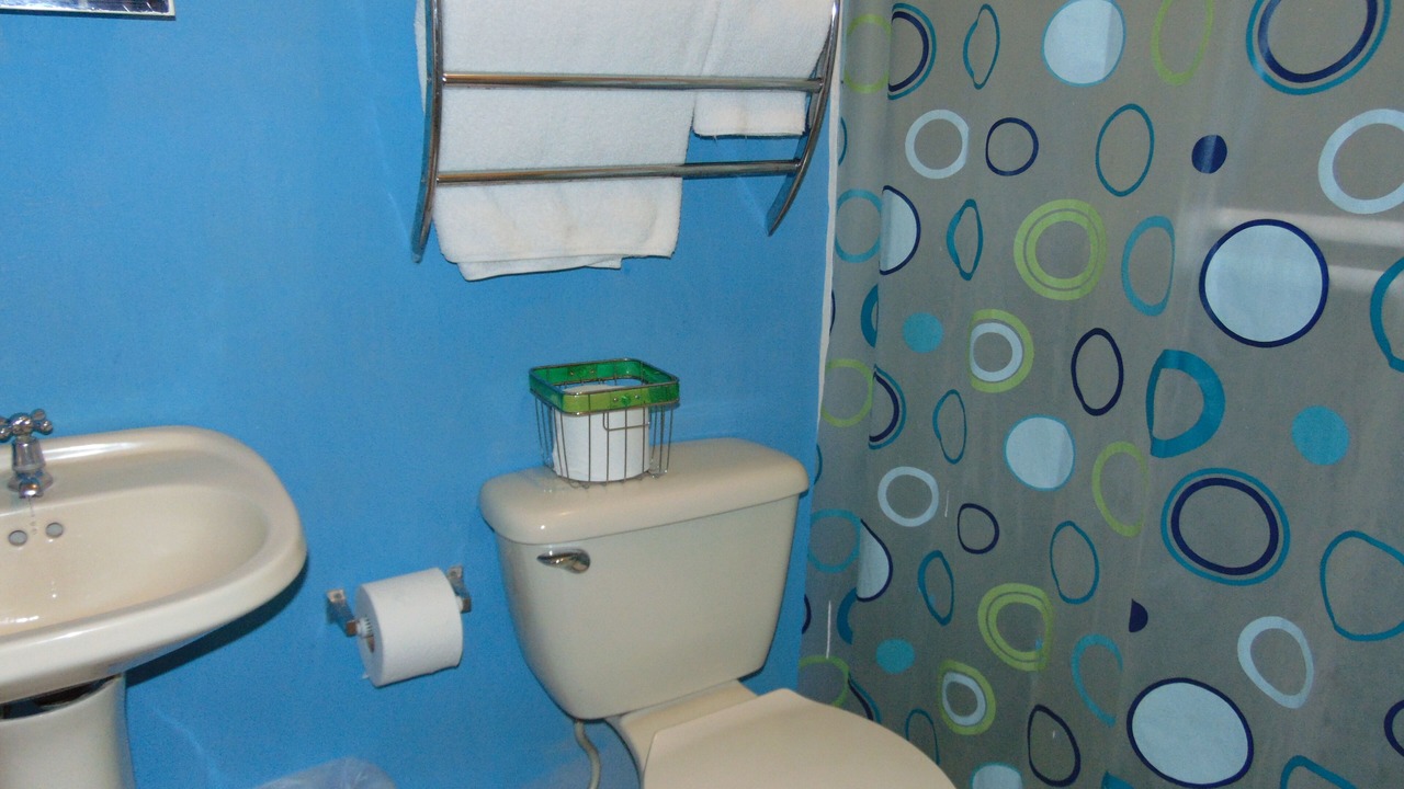 Photo of Bathroom in Pavas