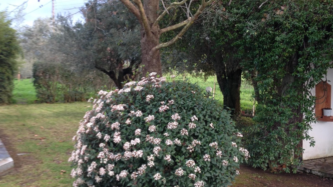Photo of Outdoor in Pylos-Nestoras