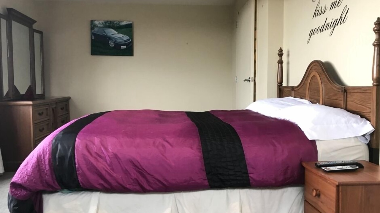 Photo of Others in Timaru