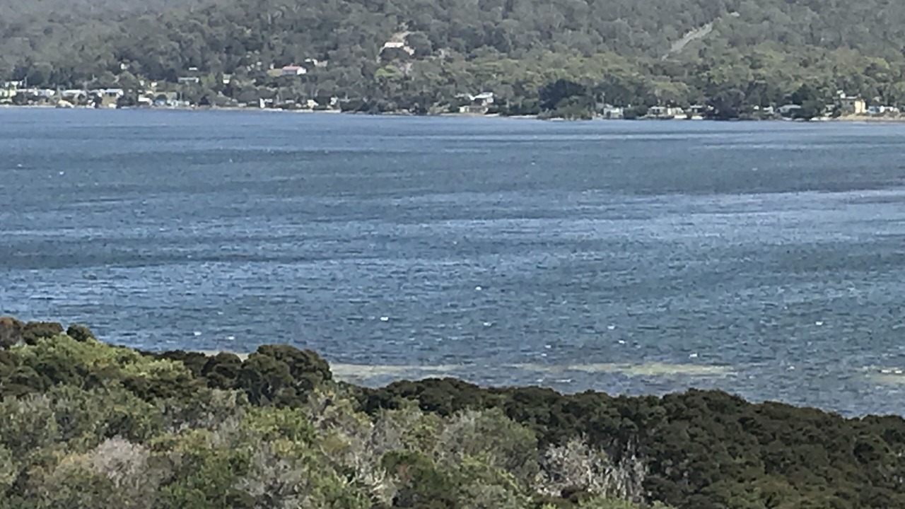 Photo of Others in Ansons Bay