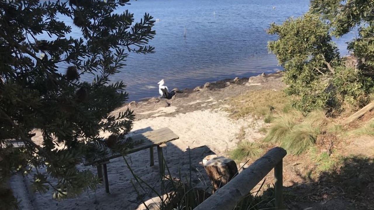 Photo of Others in Ansons Bay