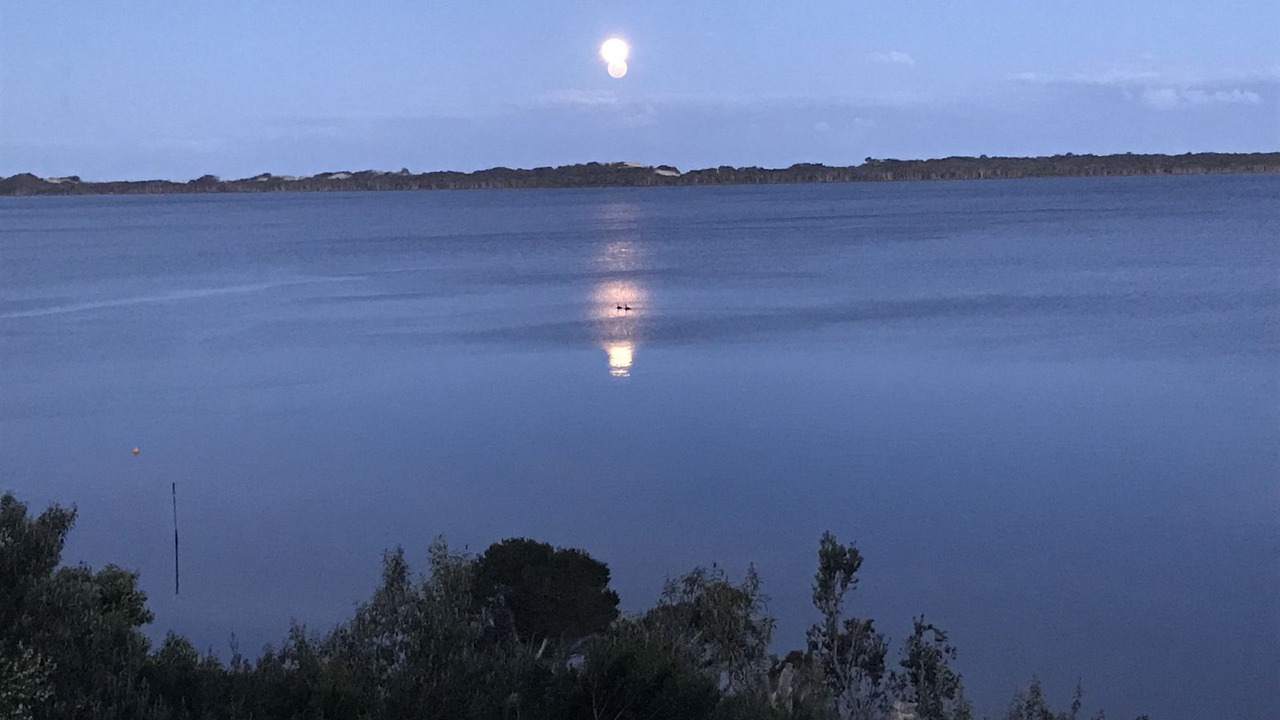 Photo of Others in Ansons Bay