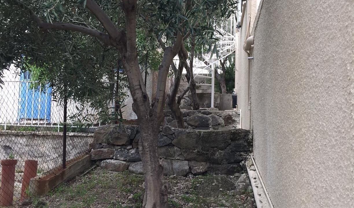 Photo of Others in Aegina